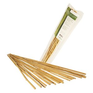 lot 29571 image: Hydrofarm HGBB6 6 Natural, Pack of 25 Bamboo Stake, 6 Foot, Tan