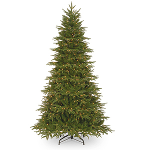 lot 28462 image: National Tree 7.5 Feel-Real Northern Frasier Hinged Tree with 800 Clear Lights