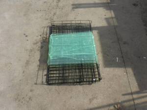 lot 11869 image: wire dog crate
