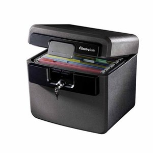 lot 15821 image: SentrySafe HD4100CG Fire-Safe Waterproof File