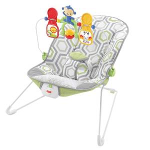 lot 15906 image: Fisher-Price Bouncer - Geometric Meadow, Gray Green