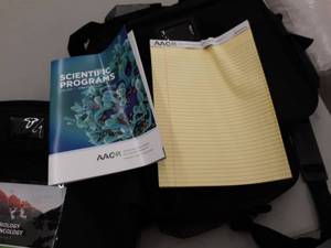 lot 15431 image: Molecular Biology in Clinical Oncology Bag set of 4