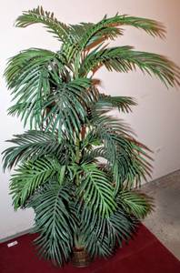 lot 3240 image: Artificial Palm Tree in Pot 56 Tall