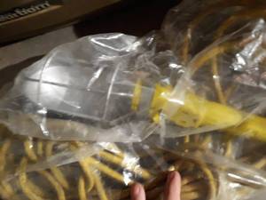 lot 10088 image: Trouble Light NIP