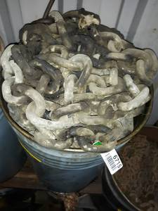 lot 6715 image: Barrel of 3.5 Link TowLog Chain 100ft Total