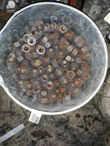 lot 6586 image: Lot of Nuts