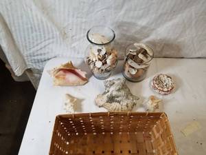 lot 9127 image: Lot of Sea Shells and Basket
