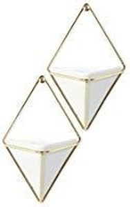 lot 34078 image: PURZEST WALL PLANTER