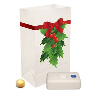 lot 36503 image: LumaBase Luminarias 82336 Battery Operated Luminaria Kit Holly 12 Count
