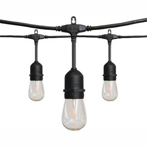 lot 36552 image: Hampton Bay 24 ft. 12-Light Filament LED String Light
