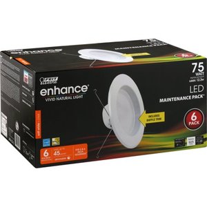 lot 36564 image: RETRO BFFL LED 6PK 27K 56IN per 6 BX 6