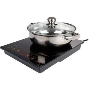 lot 35170 image: Rosewill Portable Induction Cooker Electric Hot Plate Includes 3.5Qt Stainless Steel Pot RHAI-16002