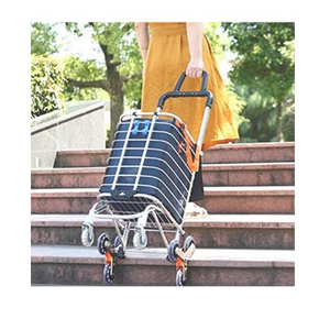 lot 5043 image: BeeBeeRun Folding Shopping Cart