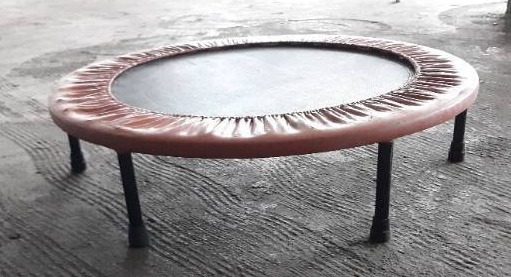 lot 7689 image: Personal Size Trampoline