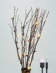 lot 15919 image: LIGHTSHARE 30Inch 20LED Natural Birch Berry Branch Light, Red Berries, Warm White Light, USB Plug-in and Battery Powered for Home Decoration.