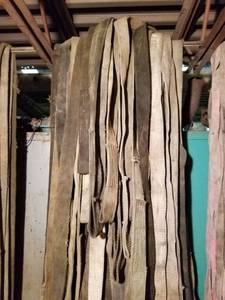 lot 2312 image: Heavy Duty Straps Pick (4) First Come First Serve