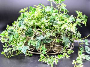 lot 3439 image: Metal Hanging Planter Basket with Faux Greenery, 14 wide x 5 tall