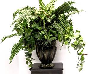 lot 3410 image: Artificial Plant and 11 x 9 Planter