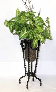 lot 3560 image: Black Metal Rope Plant Stand with Large Glass Hurricane Pot with Potted Plant stands 27 Tall