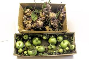 lot 3610 image: New in Box Artificial Fruit, Box of Golden Fruit, and 33 Gallon Bag of Artificial Green Foliage