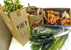 lot 3612 image: Box Containing Several Bunches of New Greenery, Printer Paper Box full and Paper Sack Full of Pinecones