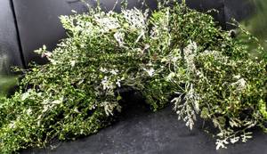 lot 3638 image: 2 Faux Greenery Door Swags