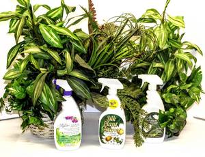 lot 3662 image: 2 Baskets Full of Silk Greenery and 3 Bottles (2) New, of Silk Plant Spray