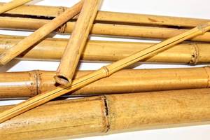 lot 3849 image: Assortment of Gardening Bamboo Sticks Sizes Ranging 79 L, 58 L, 34 L, 21 L, and a few smaller