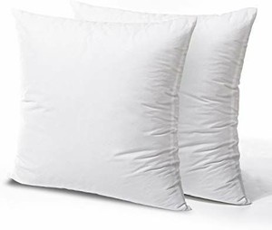 lot 4603 image: Phantoscope 2-pack 20x20 Pillow Inserts