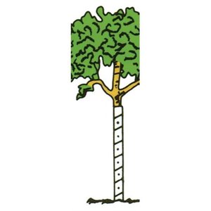 lot 5501 image: Walter E Clark 36-Inch Vinyl Tree Wrap 00436