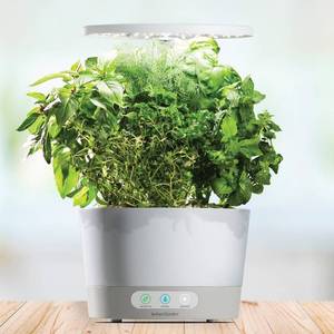lot 35374 image: AeroGarden Harvest 360, White