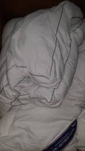 lot 36714 image: Full Cotton Mattress Topper