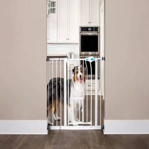 lot 38050 image: Carlson Extra Wide Walk Through Dog Gate with Door, Pressure Mount Kit & Wall Mount Kit