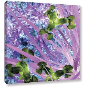 lot 39210 image: Art Wall Iris Dreams Gallery Wrapped Canvas Artwork by Herb Dickinson, 18 by 18-Inch