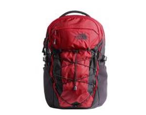 lot 36315 image: Mens The North Face Borealis Backpack - Red