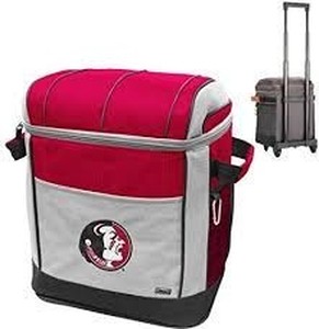 lot 36320 image: Florida State Cooler