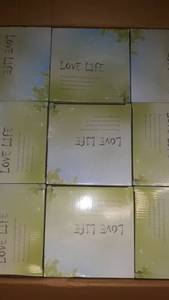 lot 36337 image: Assorted Artificial Plants by Muse Blossom