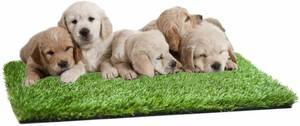lot 17540 image: MTBRO Artificial Grass for Dogs, Professional Dog Grass Pee Pads and Dog Potty Grass