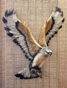 lot 6244 image: OSPREY or Fish Hawk  Handpainted  Fraser Art  14 in. x 16 in. x 5 in. deep