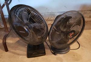 lot 216 image: 1 Vornado Fan and 1Holmes Fans  Tested Works Well