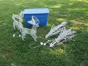 lot 258 image: Christmas Lights includes Tote