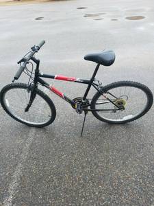 lot 1399 image: Roadmaster Mt.Fury bike