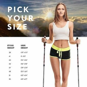 lot 1349 image: YAMAGUCHI Trekking Poles Collapsible Lightweight,Walking Stick