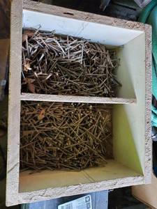 lot 6207 image: Wooden Box of Nails