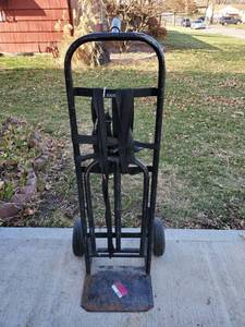 lot 6227 image: Black Dolly