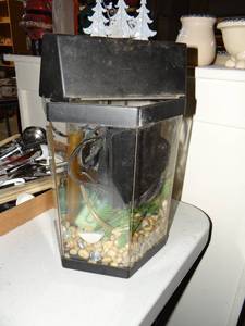 lot 778 image: Small Fish Tank w Accessories