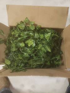 lot 1495 image: Box of Leaves for Decorating