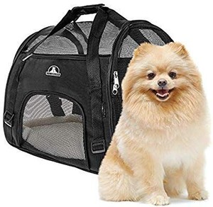 lot 1542 image: Pet Union Pet Carrier for Small Dogs, Cats, Puppies, Kittens, Pets, Collapsible