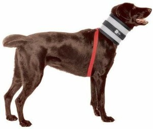 lot 1581 image: BiteNot Collar