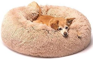 lot 1653 image: Friends Forever Premium Donut Bolster Orthopedic Dog Bed For Puppy To Medium